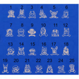 Medaille identification animaux personnalisable Personnalisé animal chien animaux laser forme os